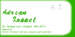 adrian koppel business card